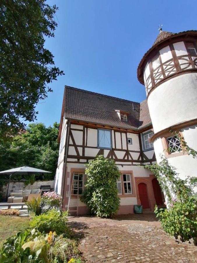Maison Kobold Xvie Siecle Wissembourg Kültér fotó