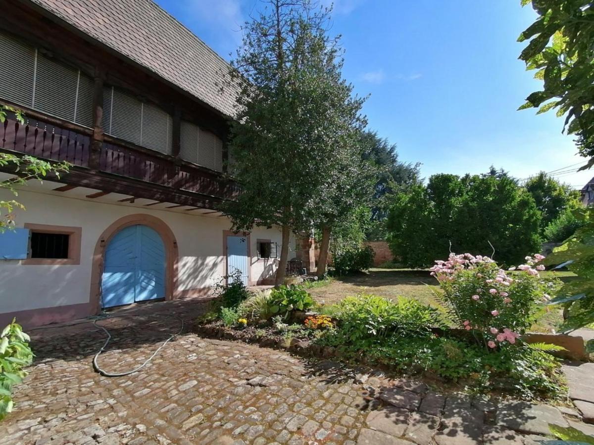 Maison Kobold Xvie Siecle Wissembourg Kültér fotó