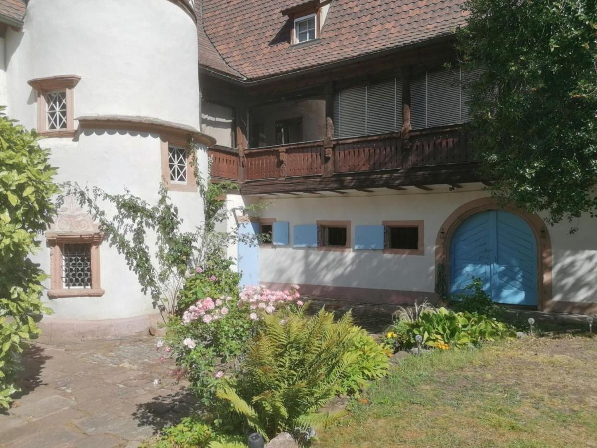 Maison Kobold Xvie Siecle Wissembourg Kültér fotó