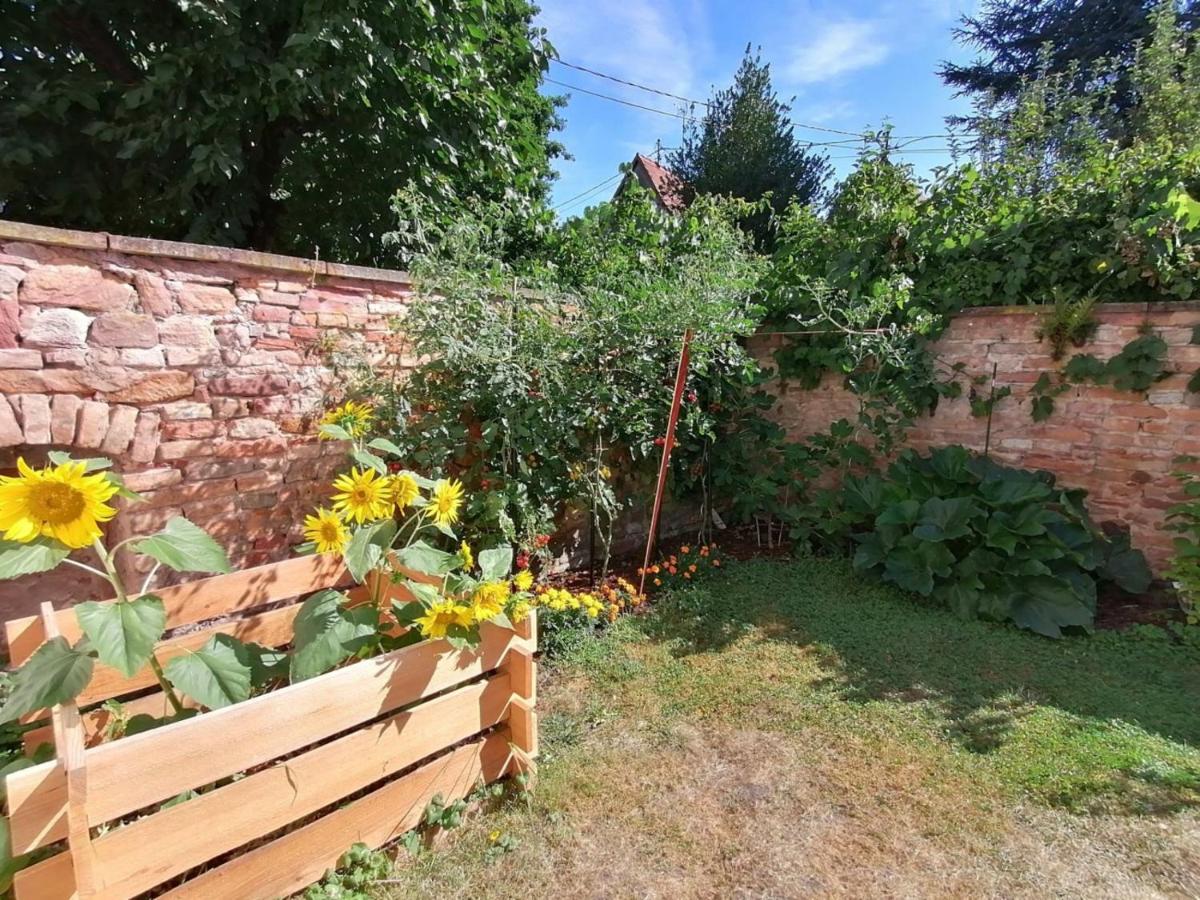 Maison Kobold Xvie Siecle Wissembourg Kültér fotó