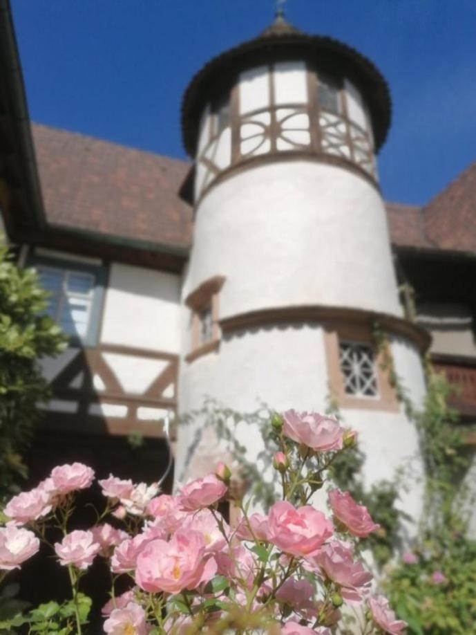 Maison Kobold Xvie Siecle Wissembourg Kültér fotó