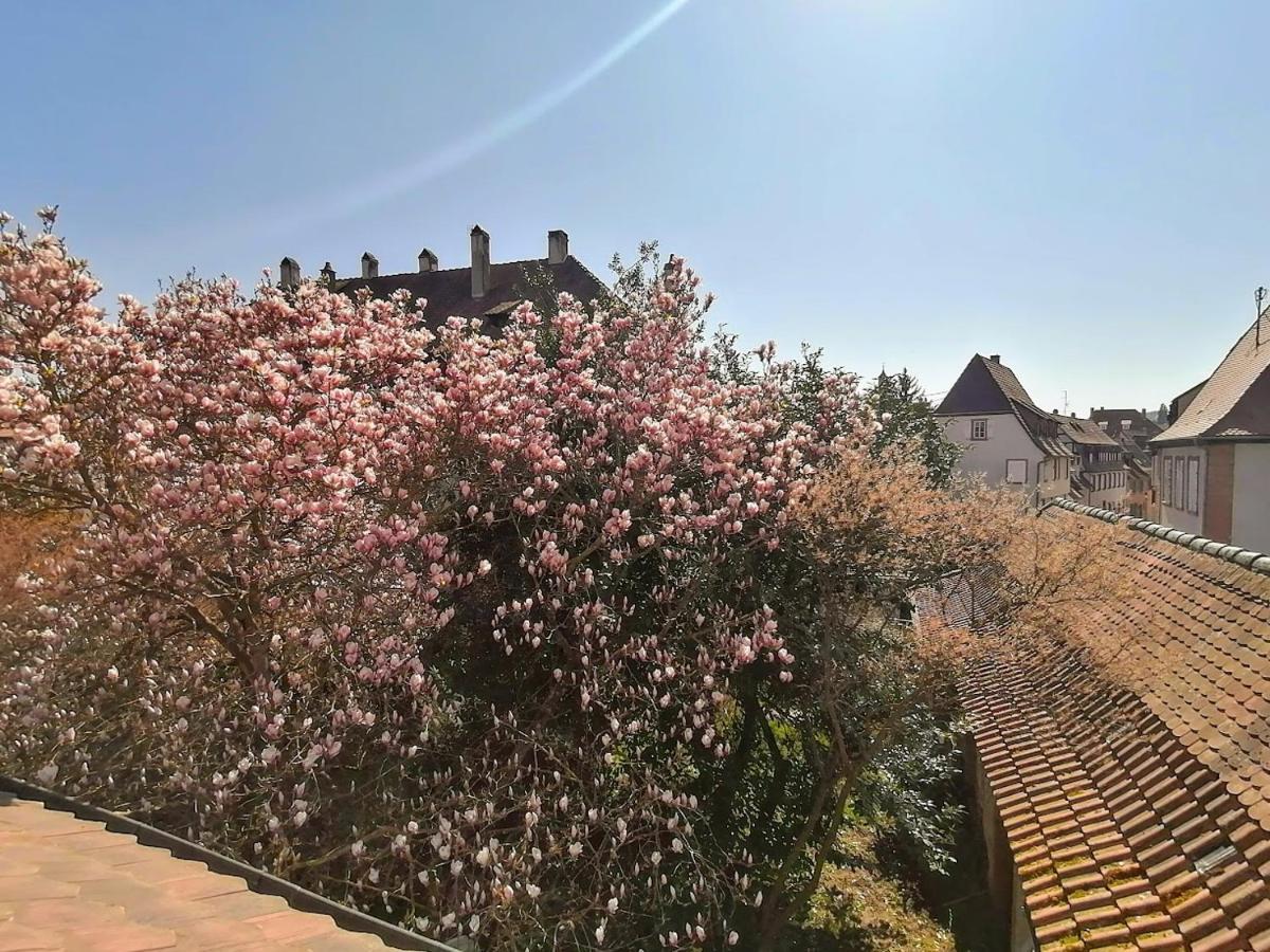 Maison Kobold Xvie Siecle Wissembourg Kültér fotó