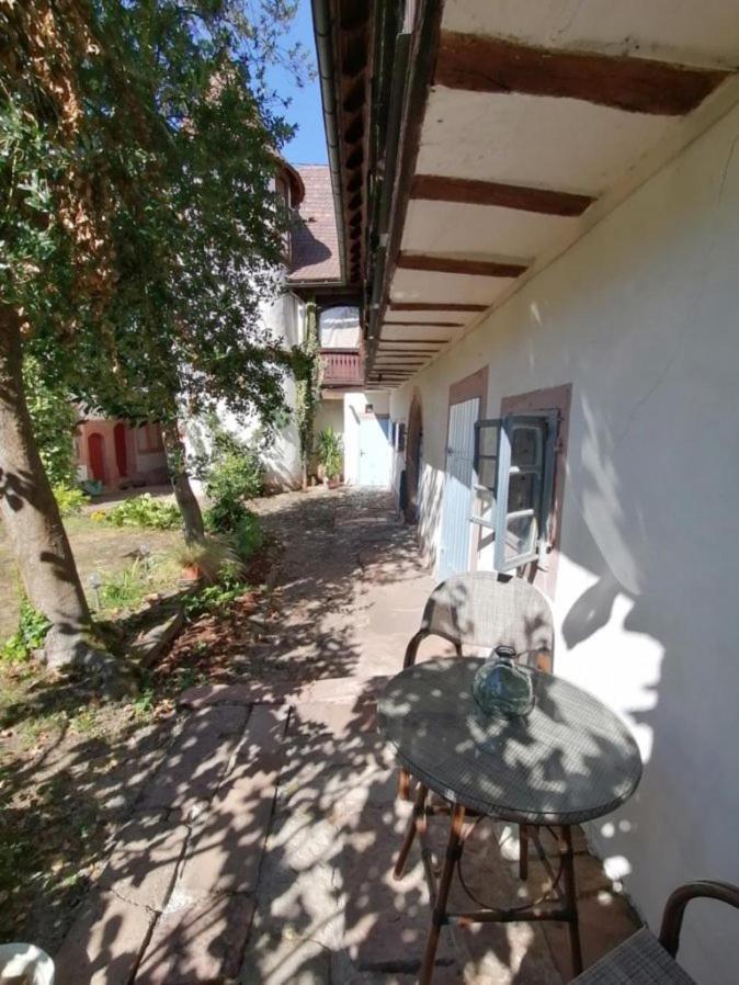 Maison Kobold Xvie Siecle Wissembourg Kültér fotó