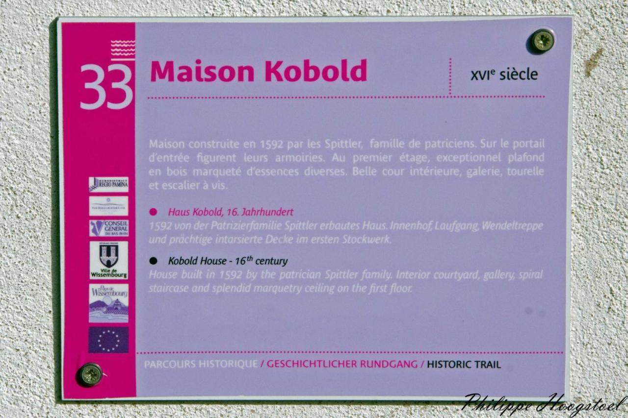 Maison Kobold Xvie Siecle Wissembourg Kültér fotó