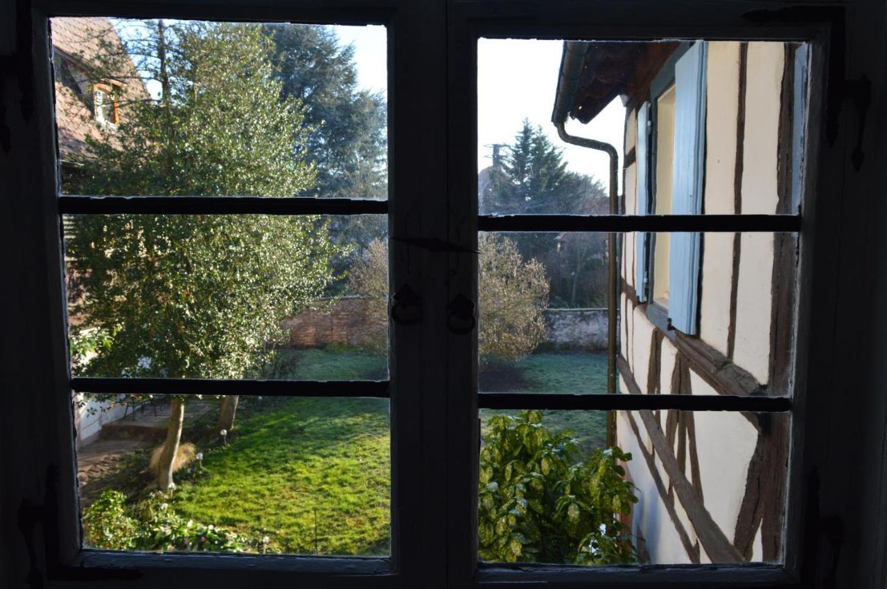 Maison Kobold Xvie Siecle Wissembourg Kültér fotó