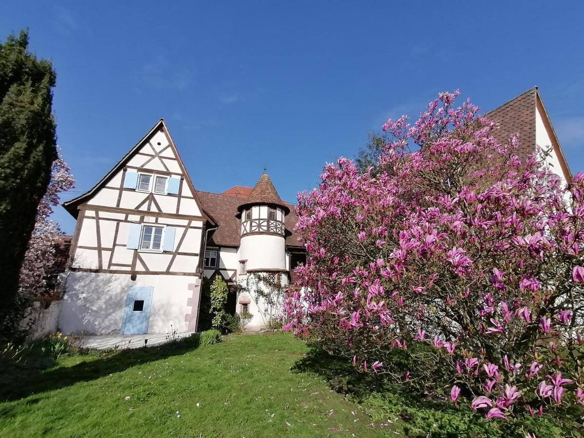 Maison Kobold Xvie Siecle Wissembourg Kültér fotó